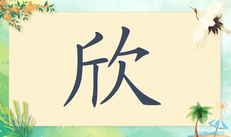 欣的名字|带欣字的女孩名字